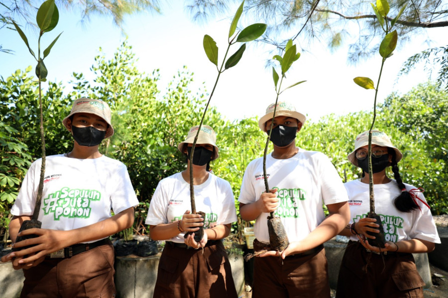 Bibit pohon bakau yang ditanam pada wilayah Pantai Mertasari, Denpasar Timur, Bali, Selasa (24/5).