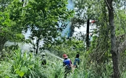 Perkembangan Situasi dan Penanganan Bencana di Tanah Air 14 Juni 2025