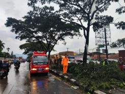 Angin Kencang Kabupaten Sumedang Akibatkan Kerusakan Rumah dan Pohon Tumbang
