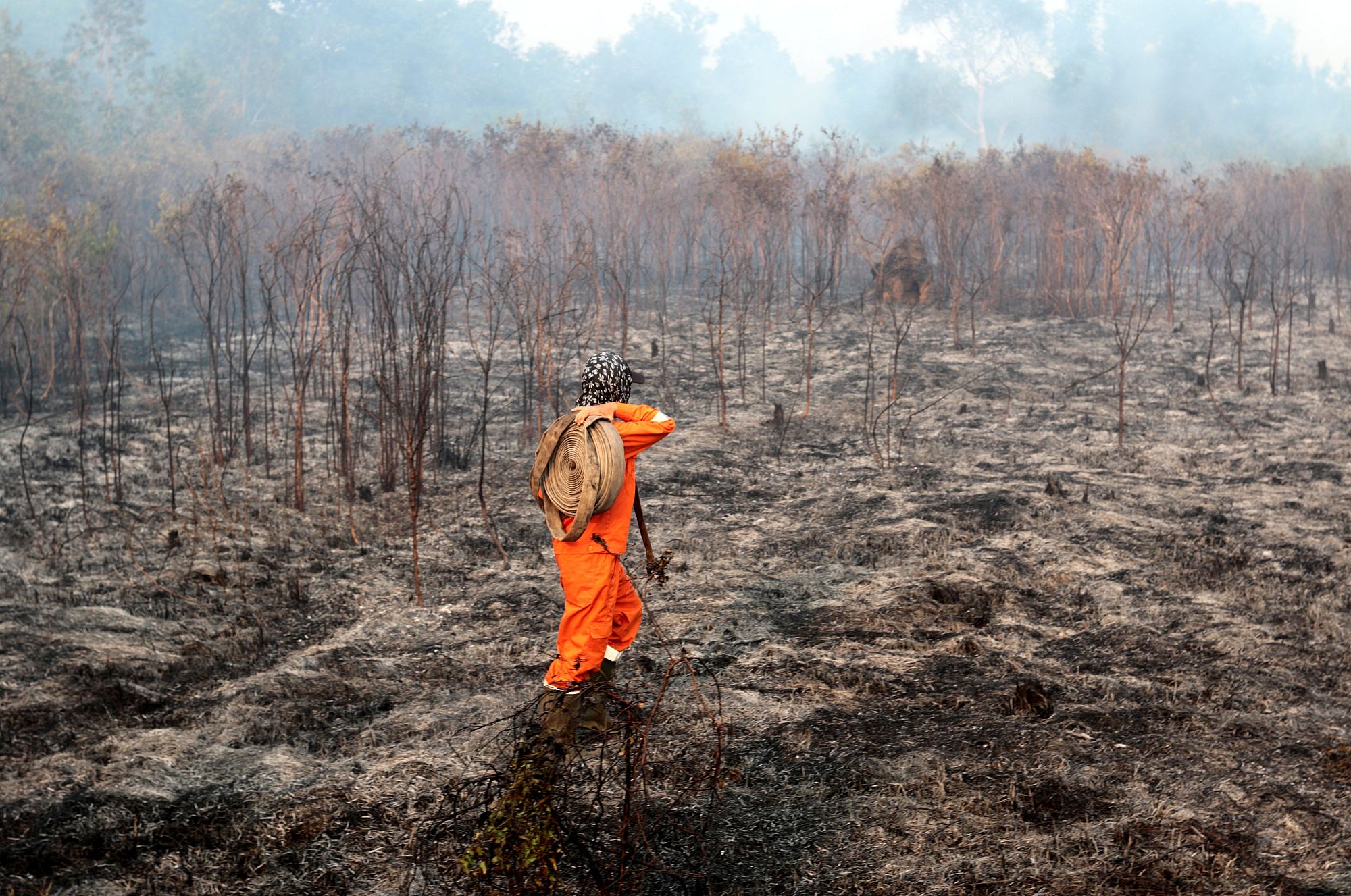 Kerugian Kebakaran Hutan dan Lahan Sepanjang 2019 Capai Rp 75 Triliun