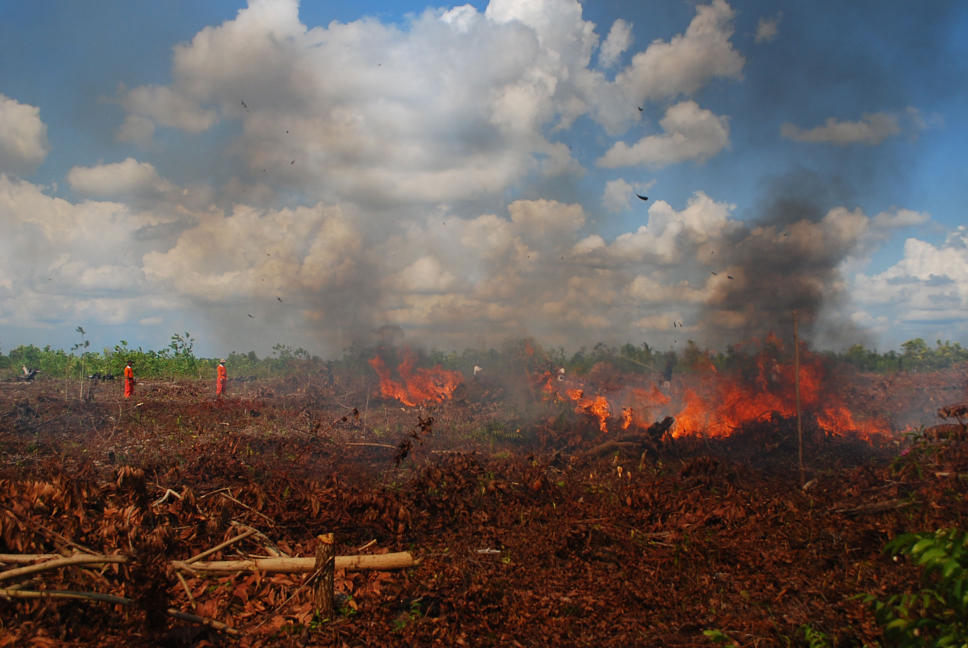 Kebakaran hutan dan lahan