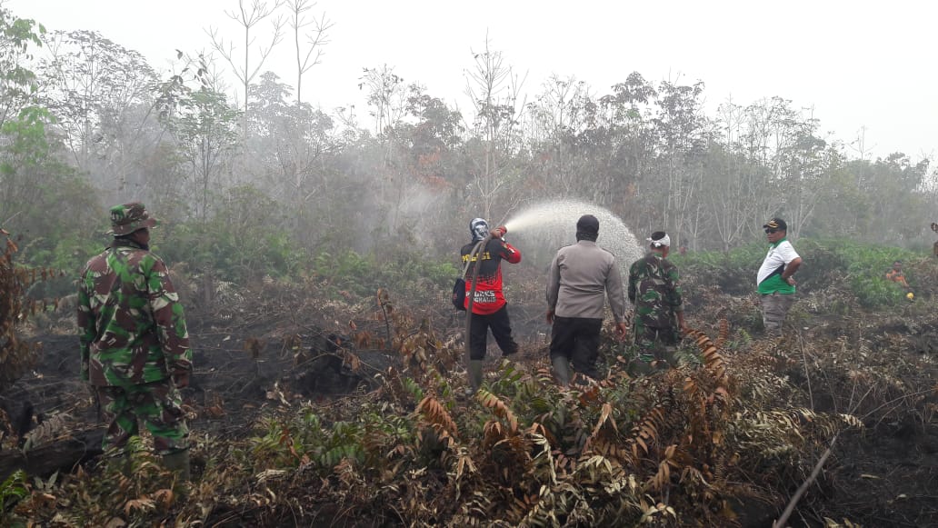 Pemadaman Kebakaran Lahan Terus Dilakukan, 843 Hektare Telah Terbakar di Riau