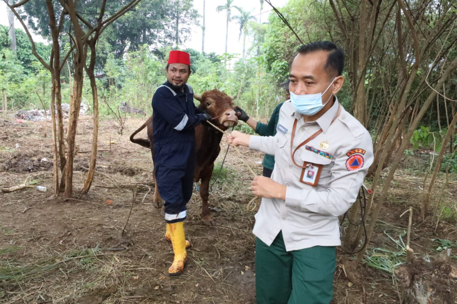 BNPB melakukan pemotongan hewan kurban pada Senin (11/7) di Bekasi, Jawa Barat dan UPT BNPB di Padang, Sumatera Barat.