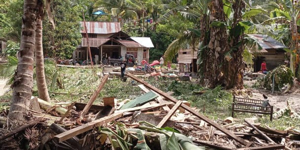 [UPDATE]: Banjir Bandang Banggai, 178 Hewan Ternak Mati