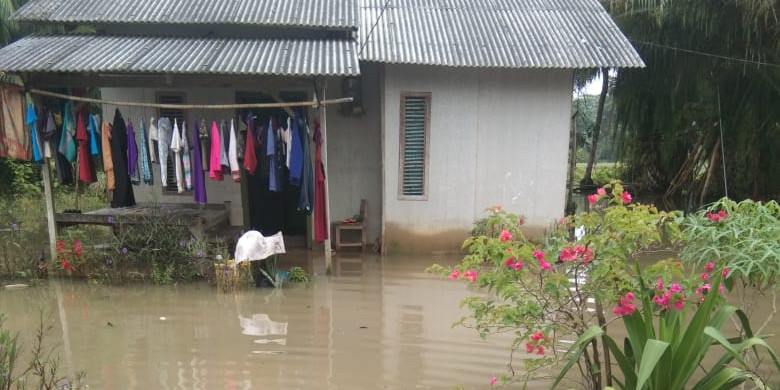 Curah Hujan Tinggi, 150 KK Terdampak Banjir di Kabupaten Lampung Timur