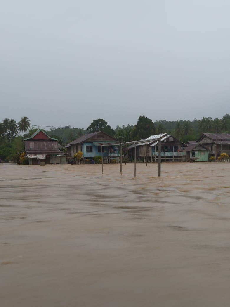 Dua Jam Diguyur Hujan, 350 Rumah Warga Kabupaten Toli-Toli Terendam Banjir