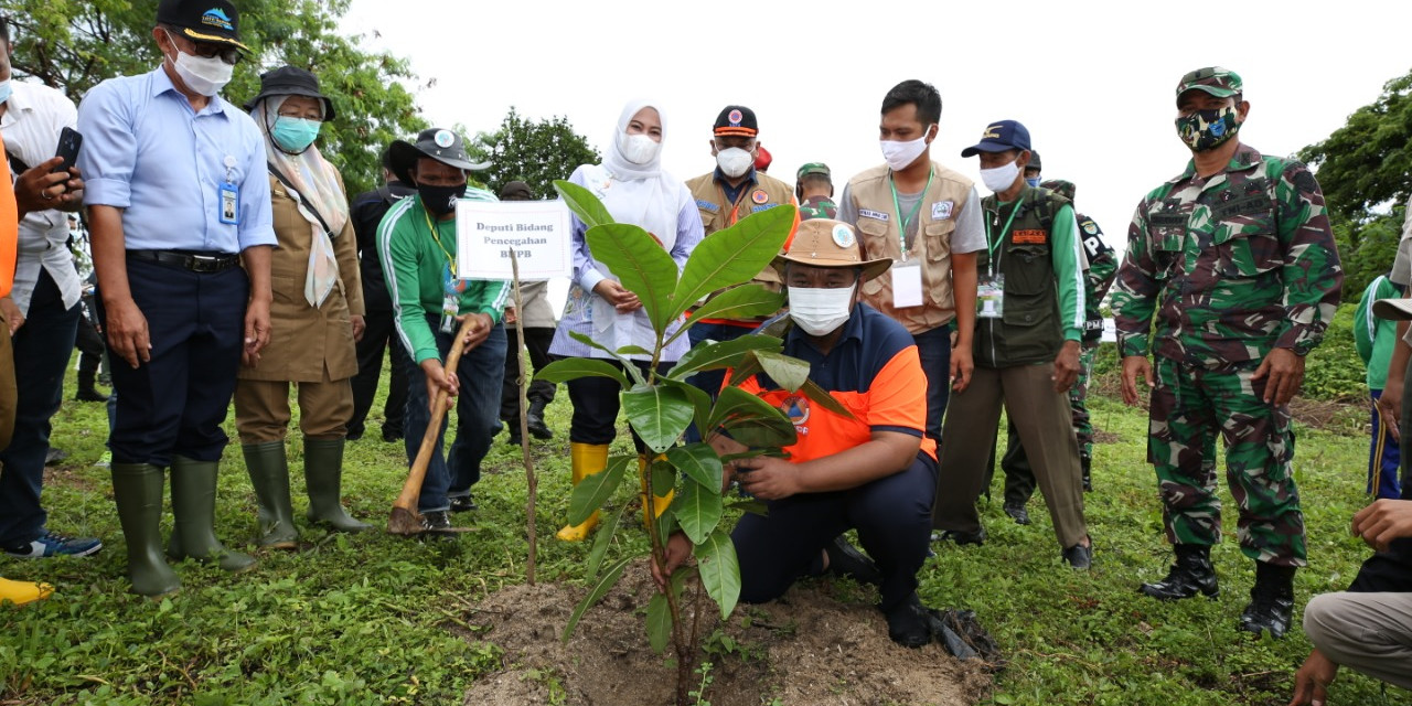 Perkuat Pondasi Alami Wilayah Pesisir, BNPB dan Pemkab Pandeglang Tanam 400 Pohon di Pantai Tanjung Lesung