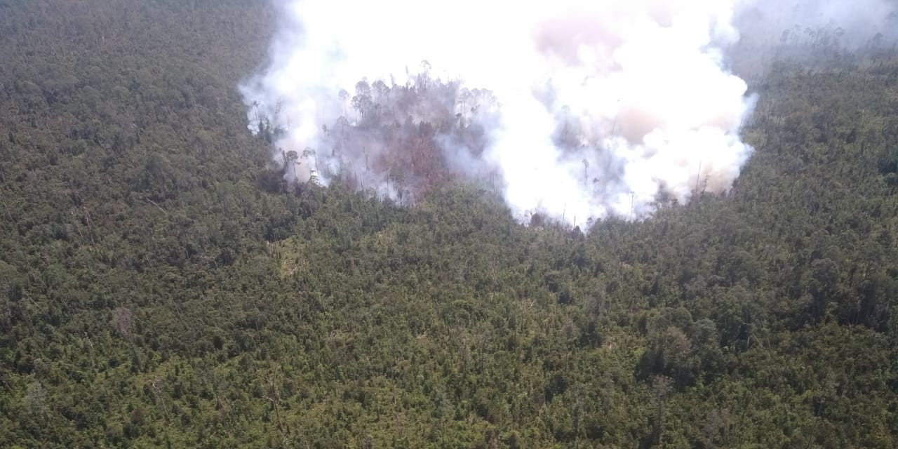 Karhutla Riau, Pemadaman dan Pendinginan Kawasan Terbakar Pulau Rupat Terus Berlangsung