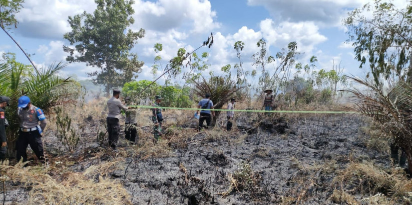 BPBD Pulang Pisau Berhasil Padamkan 4 Hektar Lahan Terbakar