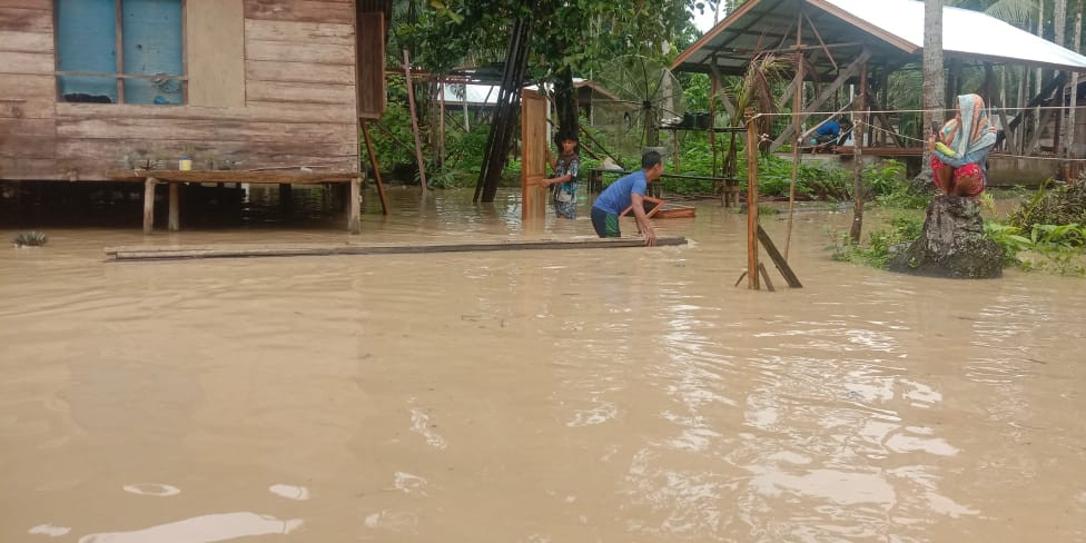 505 Jiwa Terdampak Meluapnya Sungai di Kabupaten Aceh Timur