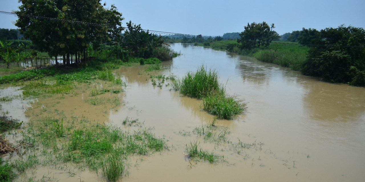 Kali Lamong Meluap, Sembilan Desa di Gresik Terendam Banjir