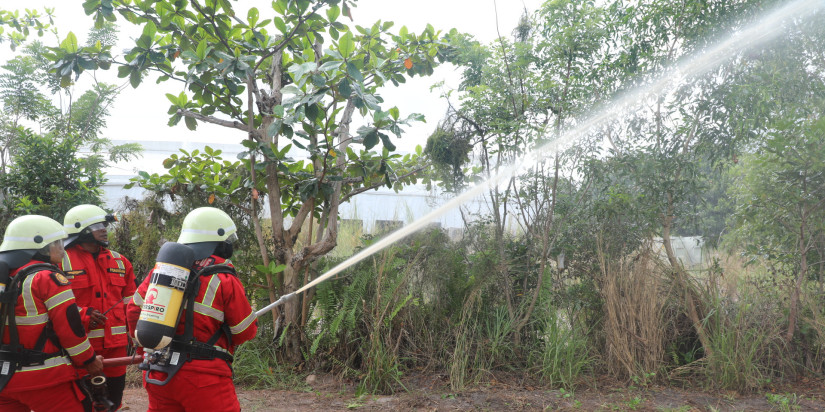 Jelang DWG G20 Belitung, BNPB Simulasikan Penanganan Kebakaran