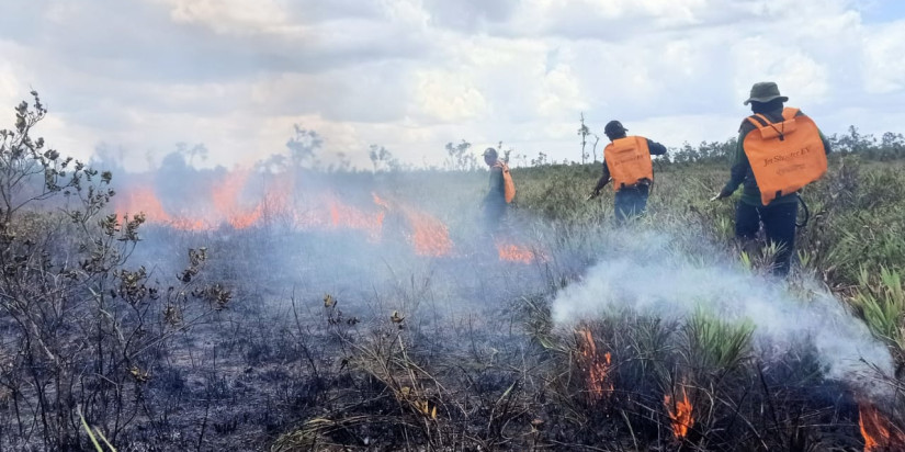 Sebanyak 7,5 Hektar Lahan di Kabupaten Sukamara Kebakaran