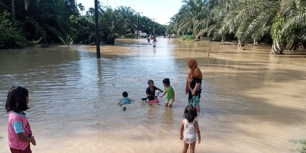 Sebanyak 300 Rumah Warga Aceh Timur Terendam Banjir
