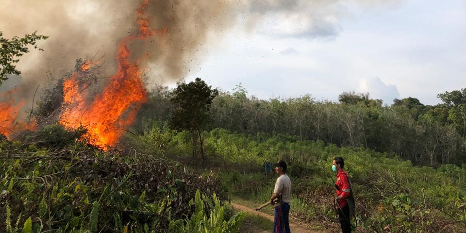Hutan dan Lahan di Desa Sekolaq Joleq Terbakar Seluas 1,5 Hektar