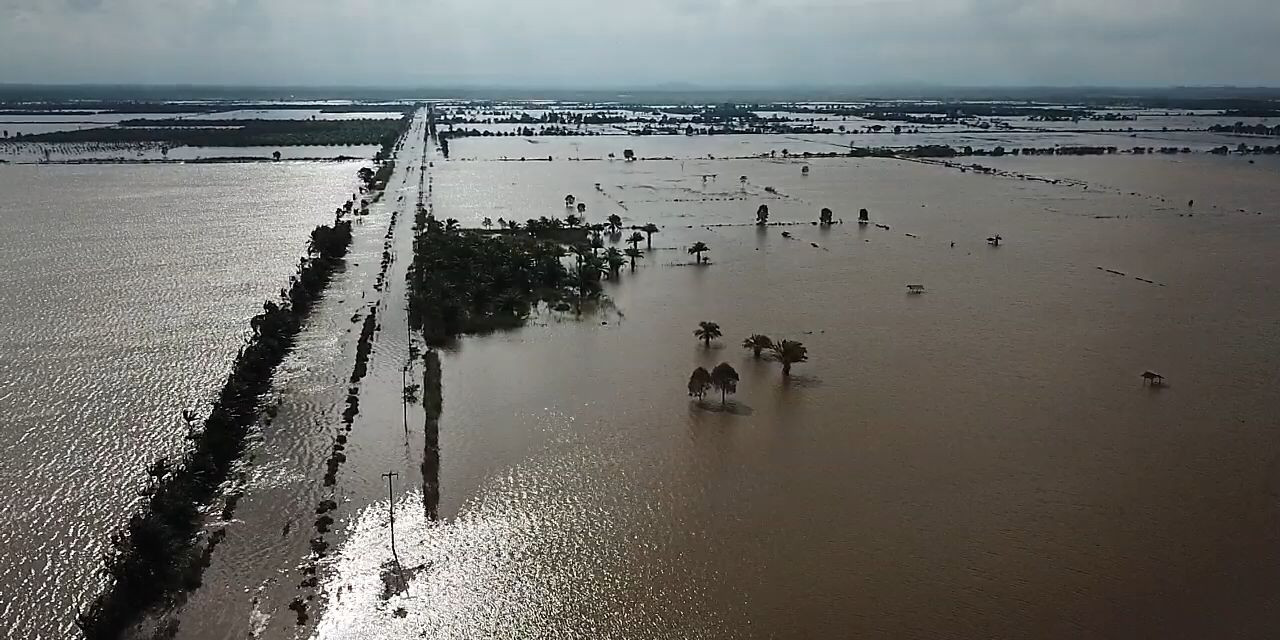 Sebanyak 15 Kejadian Banjir Sepekan Pertama Oktober, BNPB Dorong BPBD Tingkatkan Kesiapsiagaan Minimalkan Dampak Bencana
