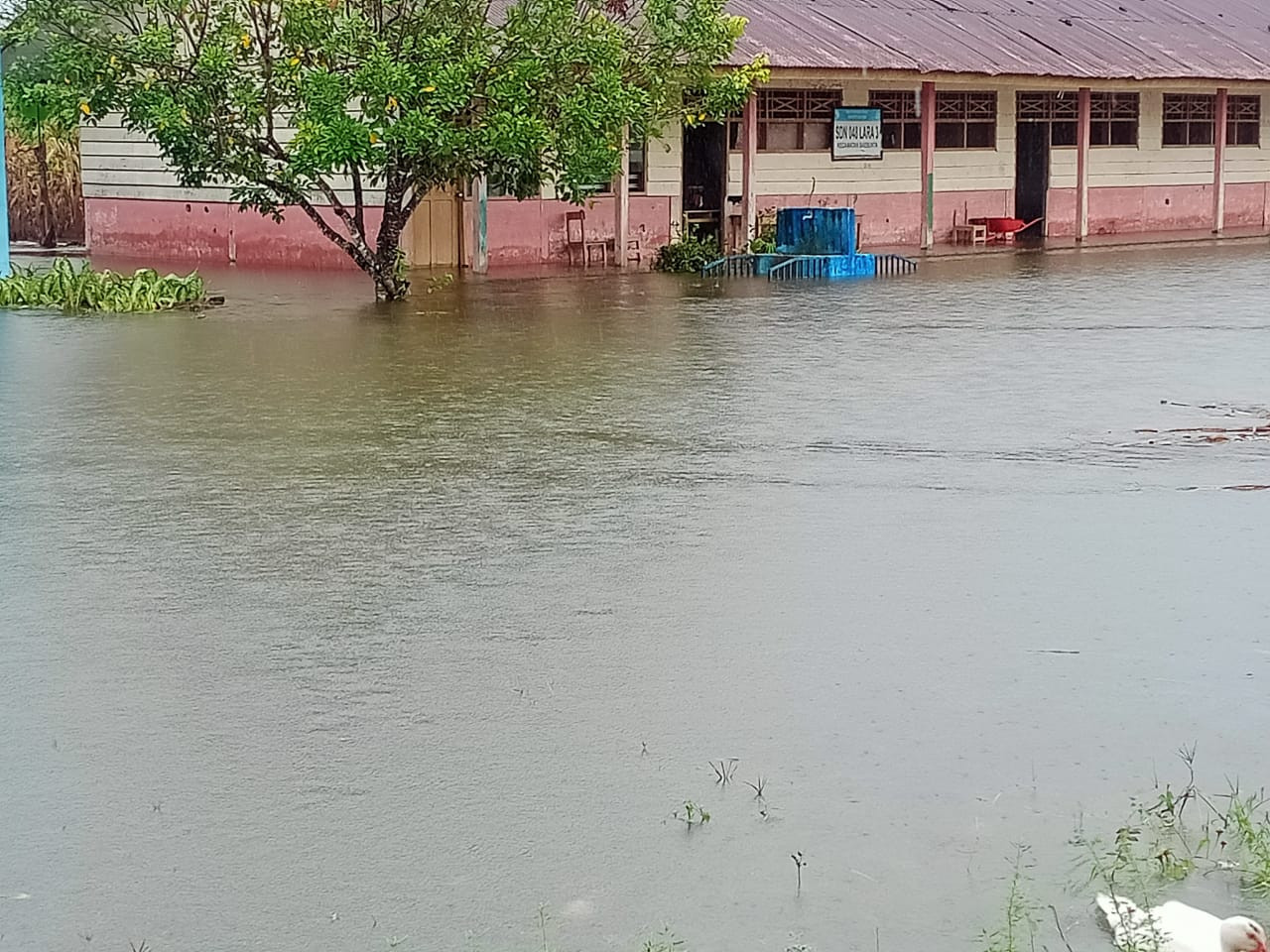 Sebanyak 303 Rumah Warga Luwu Utara Masih Terdampak Banjir