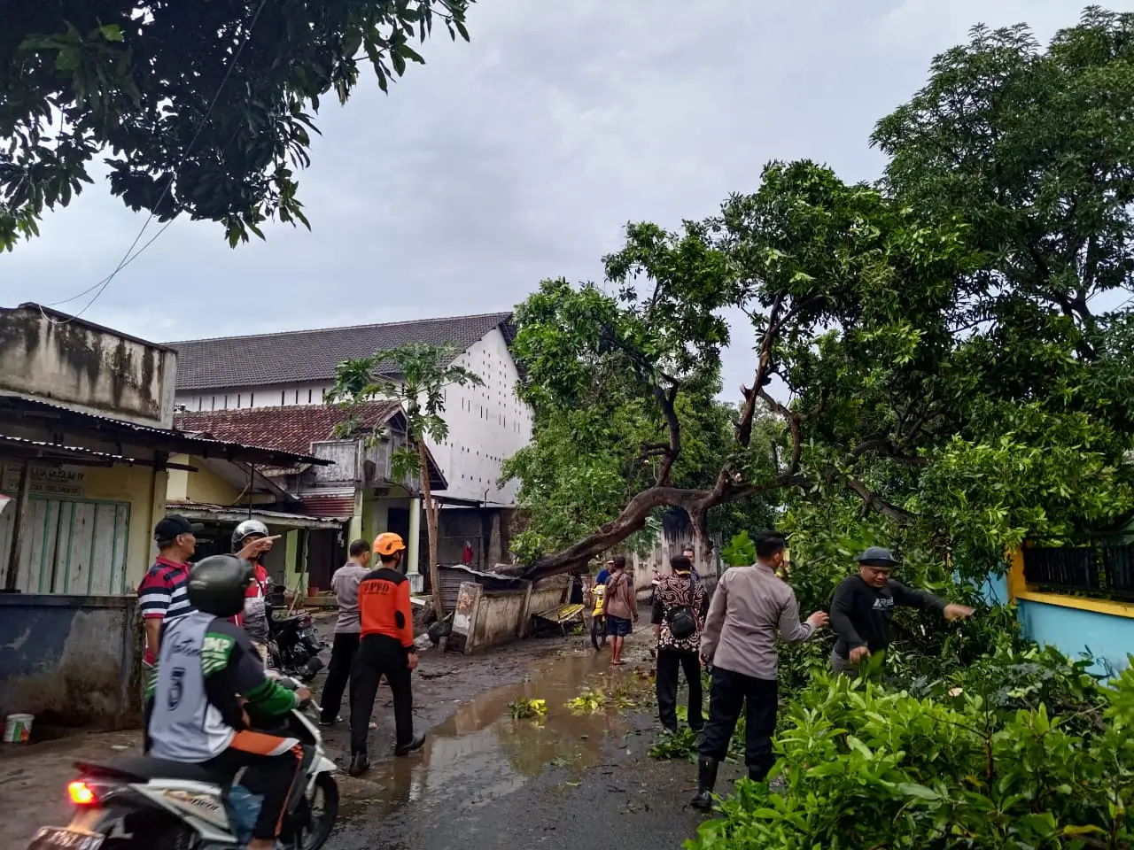 Angin Kencang Terjang Kabupaten Bondowoso, 202 Rumah Rusak