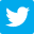 Twitter BNPB